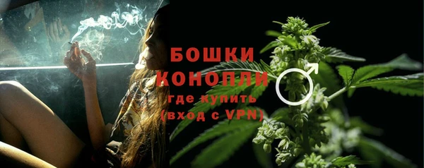 стаф Богданович