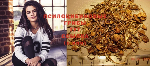 стаф Богданович