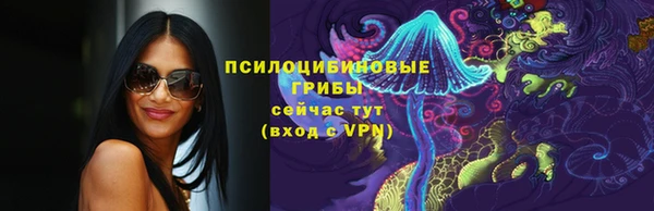 стаф Богданович