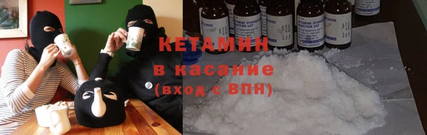 стаф Богданович