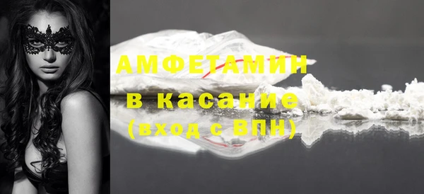 стаф Богданович