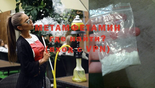 стаф Богданович