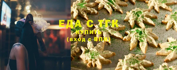 стаф Богданович