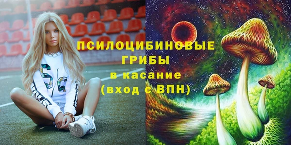 стаф Богданович
