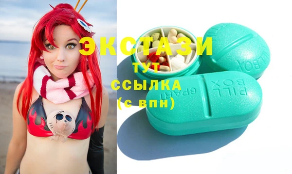 стаф Богданович